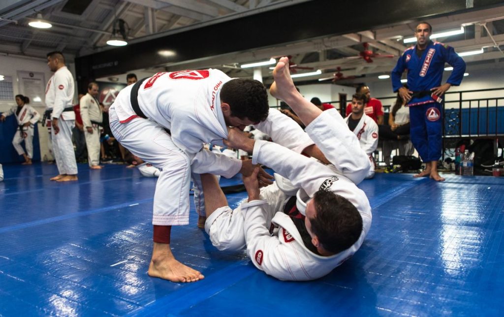 MMA Classes Near Me Washington | Washington Mixed Martial Arts | Gracie ...